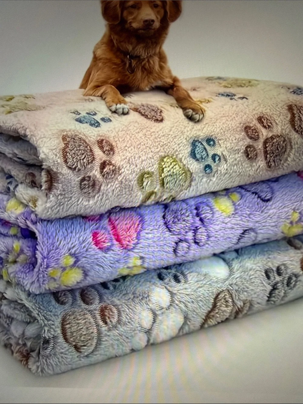 Plush Paw Print Pet Blanket - Cream, Lavender, Gray. Your choice of color